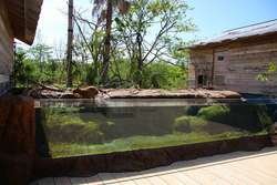 🐒 도키와 동물원 이미지 9